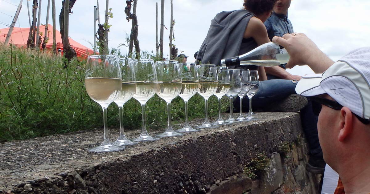 Weinfrühling an der Mittelahr